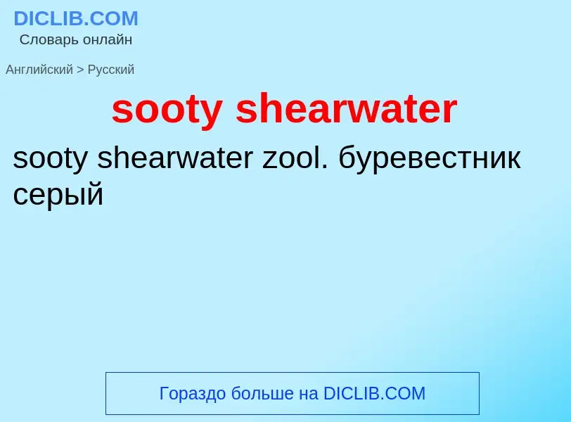 Vertaling van &#39sooty shearwater&#39 naar Russisch