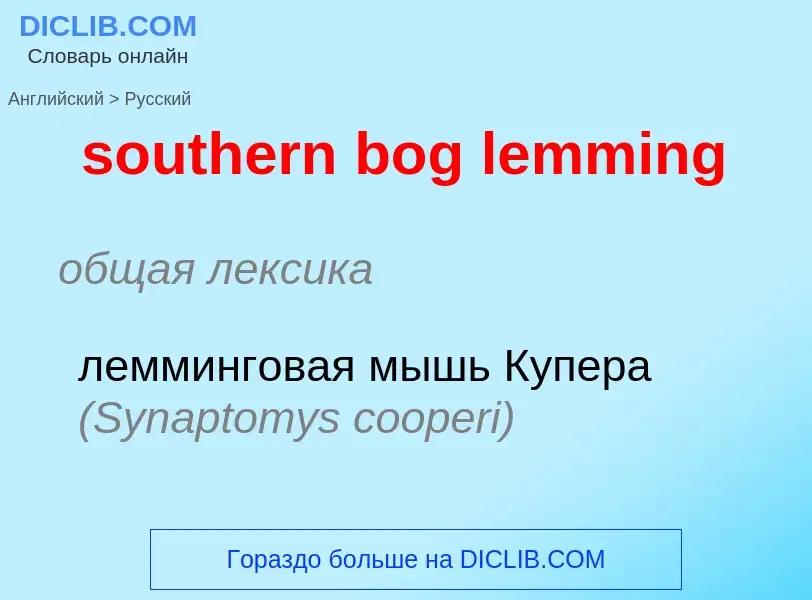 Как переводится southern bog lemming на Русский язык