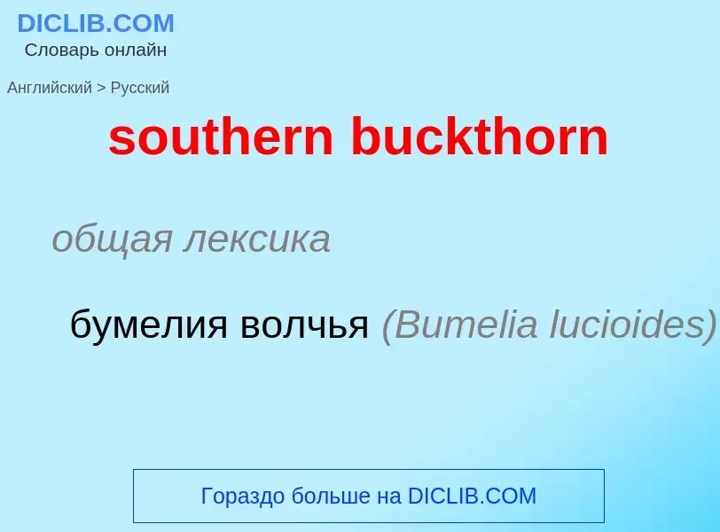 ¿Cómo se dice southern buckthorn en Ruso? Traducción de &#39southern buckthorn&#39 al Ruso