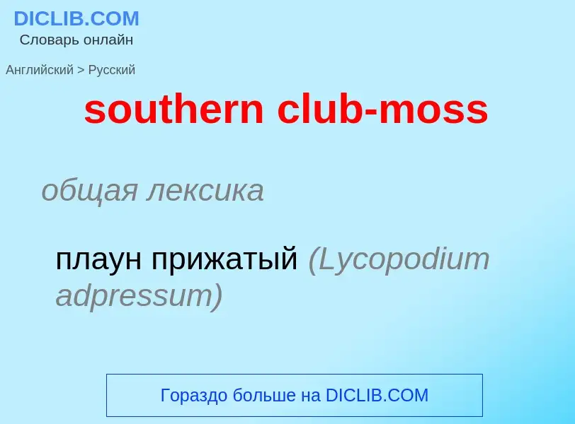 Как переводится southern club-moss на Русский язык