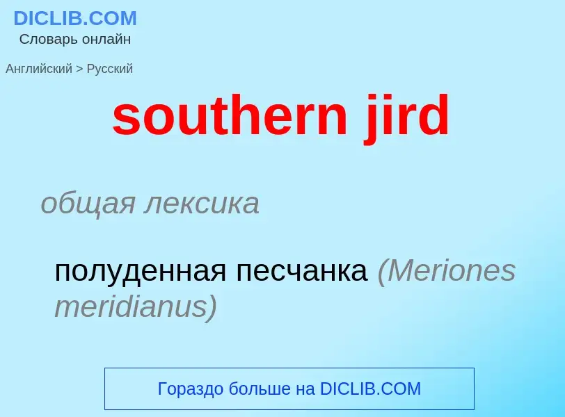 ¿Cómo se dice southern jird en Ruso? Traducción de &#39southern jird&#39 al Ruso