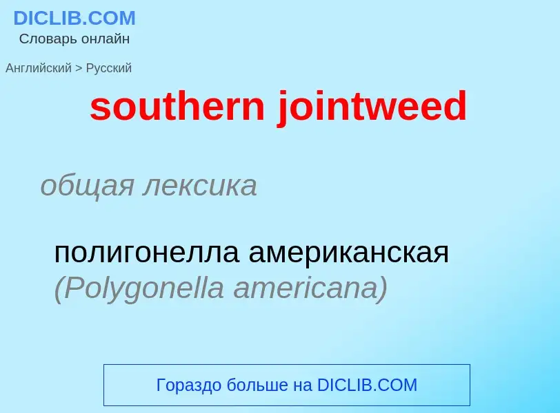 Как переводится southern jointweed на Русский язык