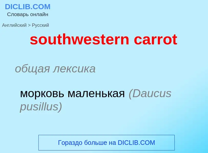 Как переводится southwestern carrot на Русский язык