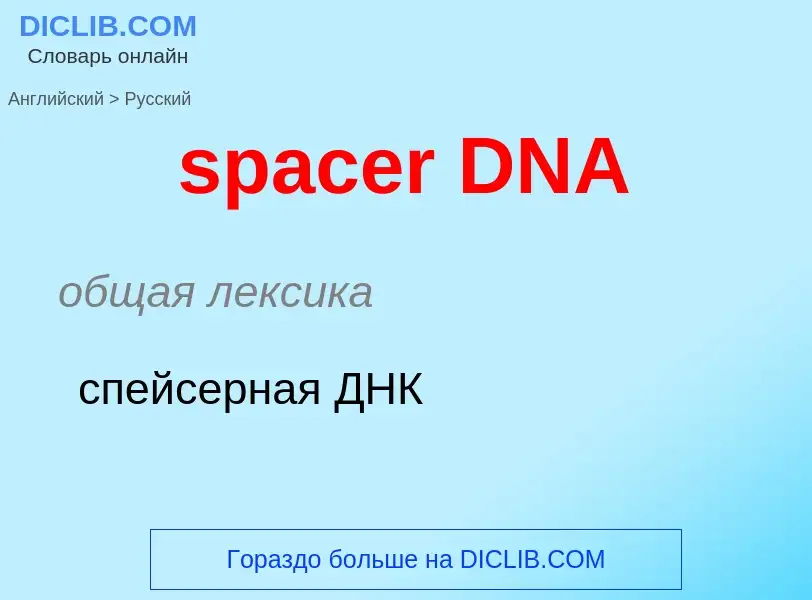 Μετάφραση του &#39spacer DNA&#39 σε Ρωσικά