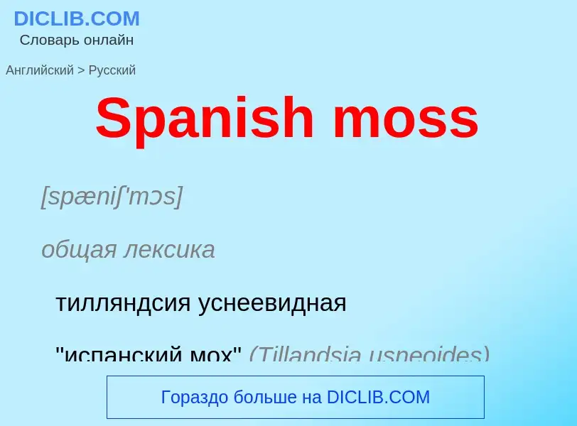 Como se diz Spanish moss em Russo? Tradução de &#39Spanish moss&#39 em Russo