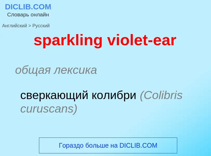 Как переводится sparkling violet-ear на Русский язык