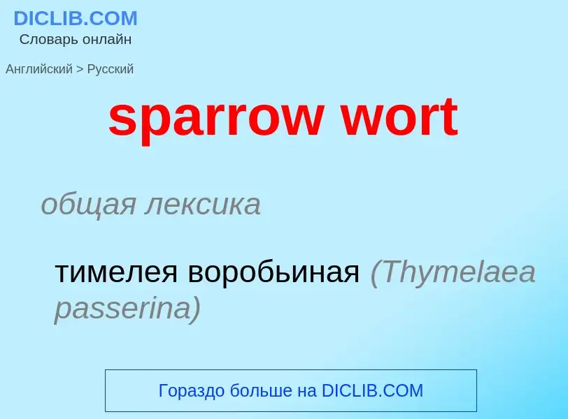 Как переводится sparrow wort на Русский язык