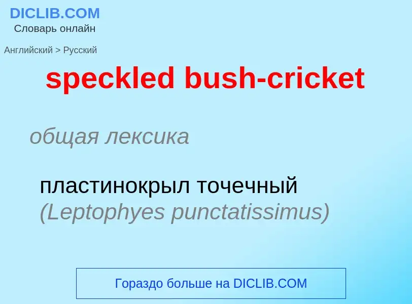 Как переводится speckled bush-cricket на Русский язык