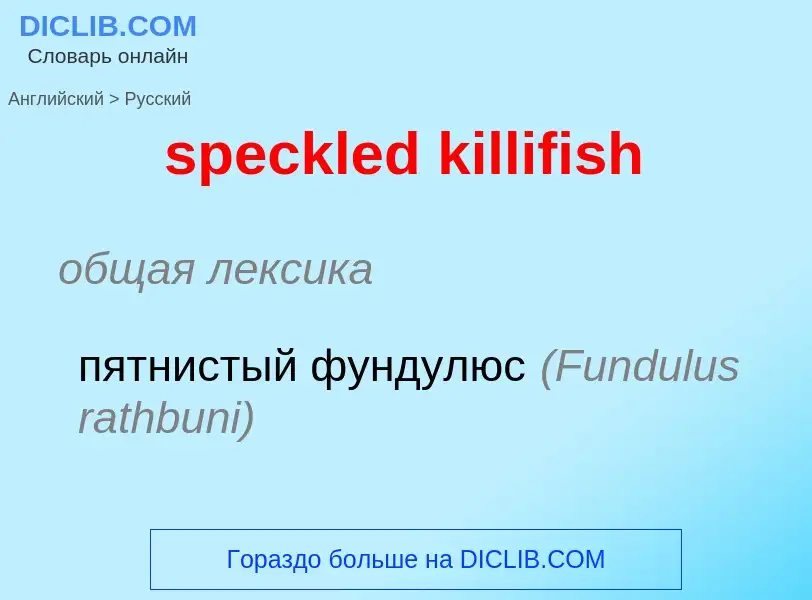 ¿Cómo se dice speckled killifish en Ruso? Traducción de &#39speckled killifish&#39 al Ruso