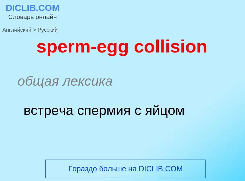 Como se diz sperm-egg collision em Russo? Tradução de &#39sperm-egg collision&#39 em Russo