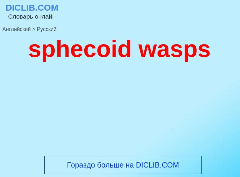 Μετάφραση του &#39sphecoid wasps&#39 σε Ρωσικά