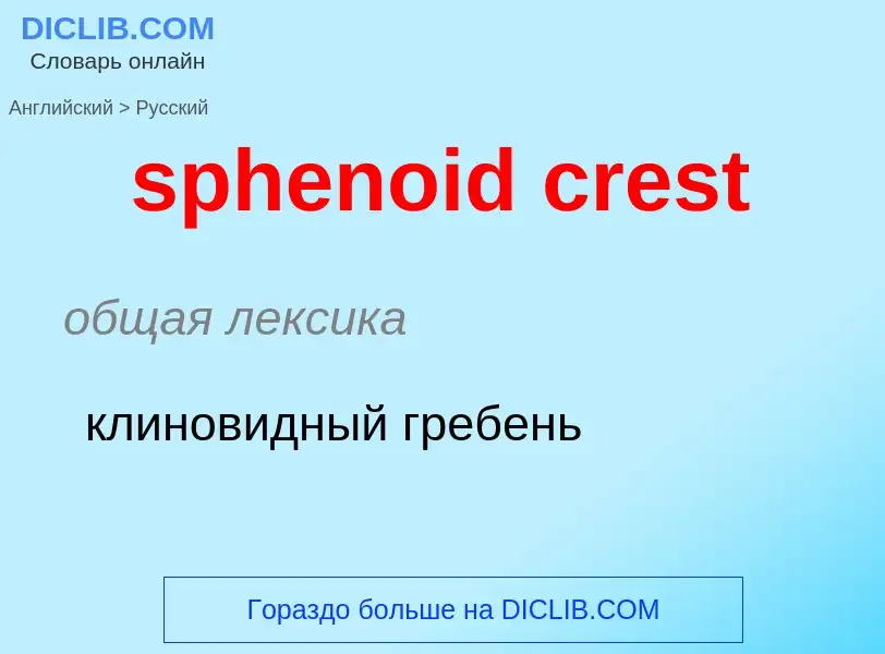 Как переводится sphenoid crest на Русский язык