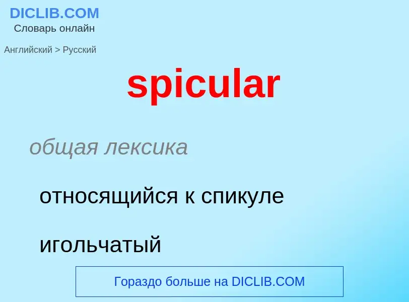 Как переводится spicular на Русский язык