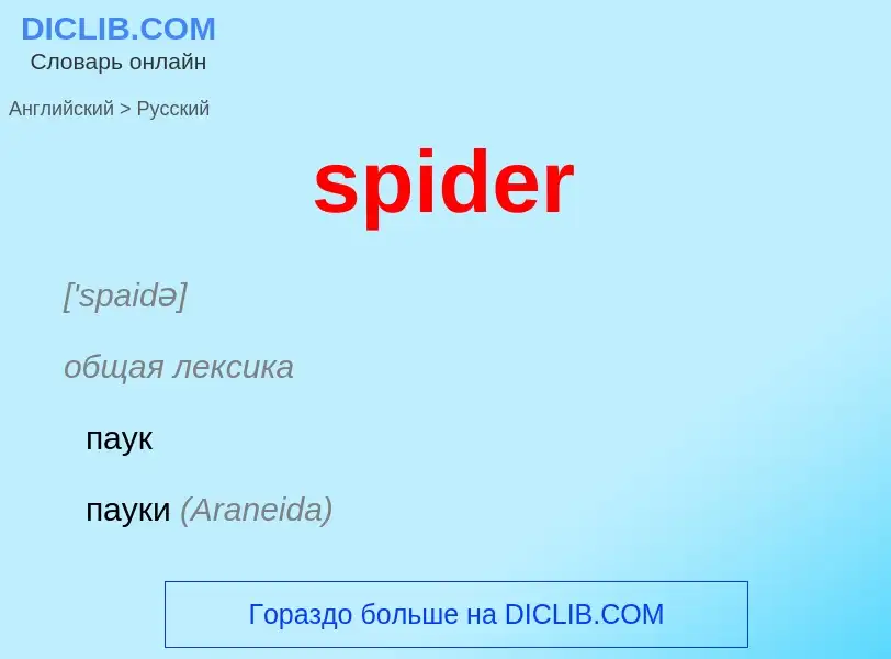 Как переводится spider на Русский язык