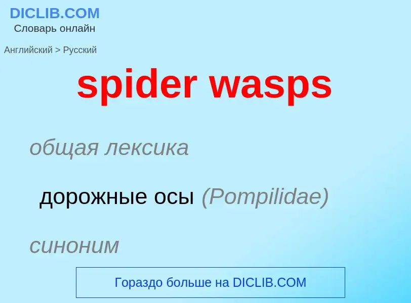 What is the Russian for spider wasps? Translation of &#39spider wasps&#39 to Russian