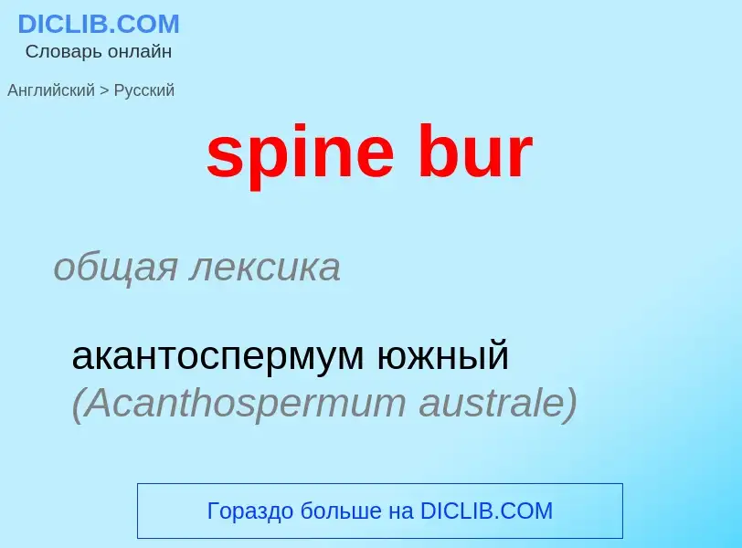 Como se diz spine bur em Russo? Tradução de &#39spine bur&#39 em Russo