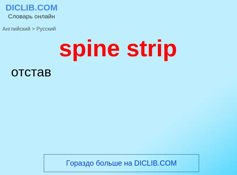 Как переводится spine strip на Русский язык