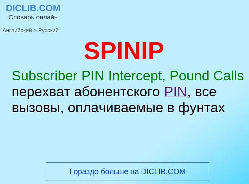 Как переводится SPINIP на Русский язык