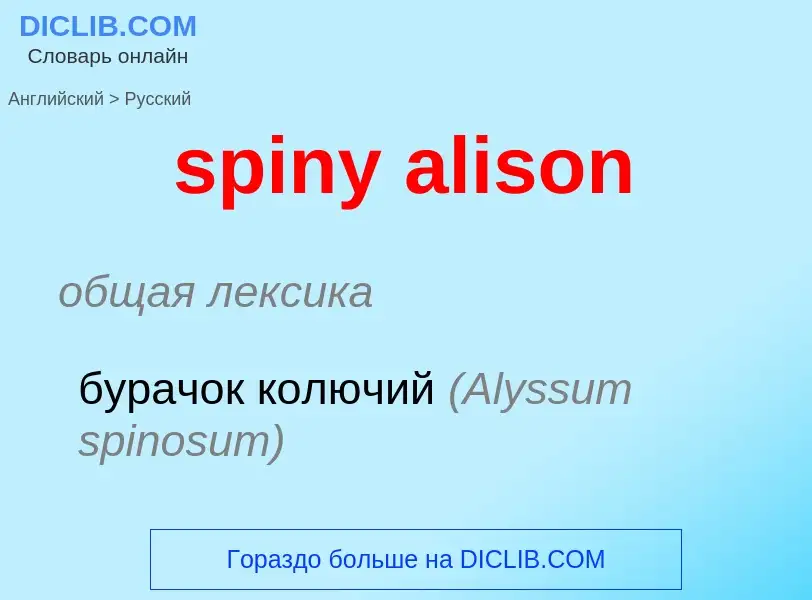 Como se diz spiny alison em Russo? Tradução de &#39spiny alison&#39 em Russo