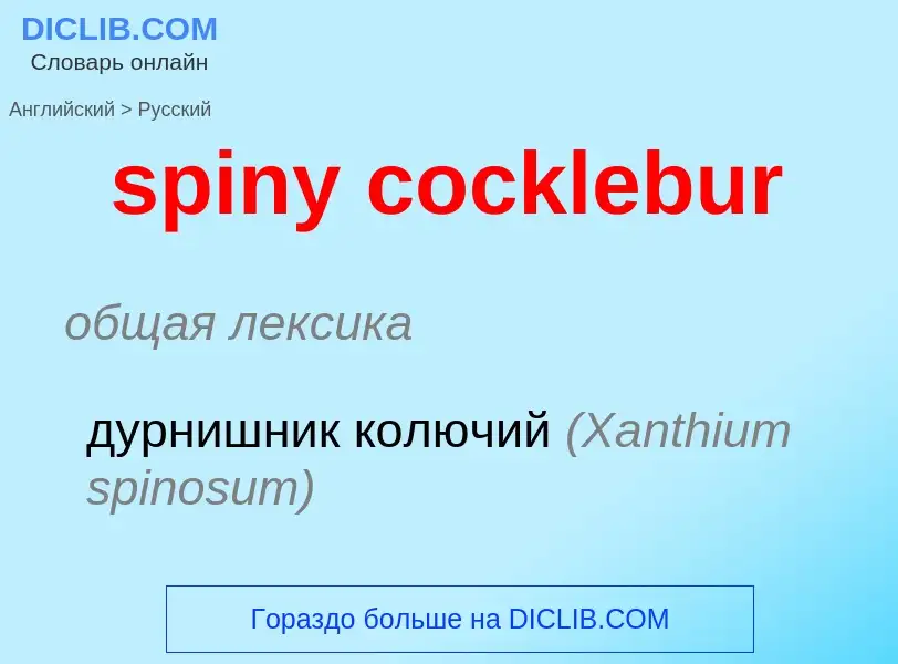 What is the Russian for spiny cocklebur? Translation of &#39spiny cocklebur&#39 to Russian