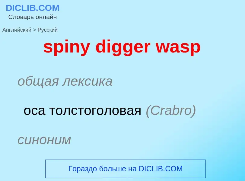 Μετάφραση του &#39spiny digger wasp&#39 σε Ρωσικά