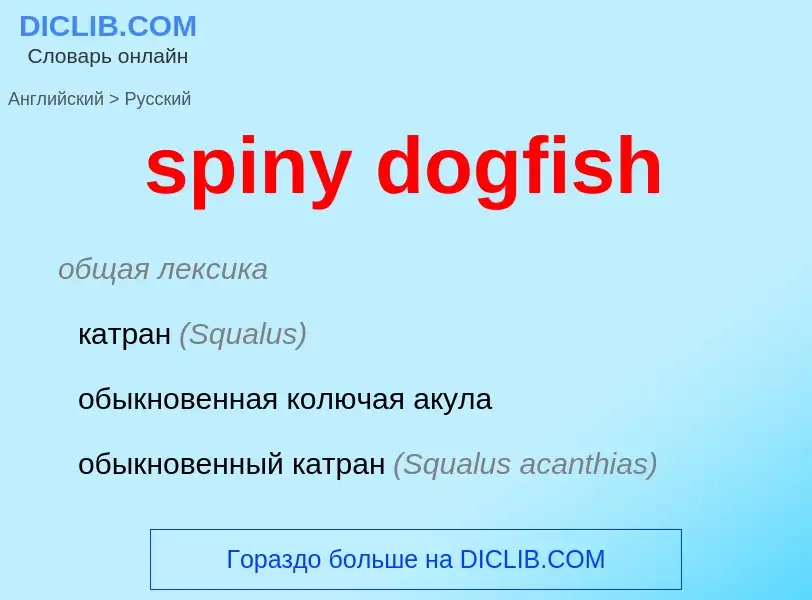 Как переводится spiny dogfish на Русский язык