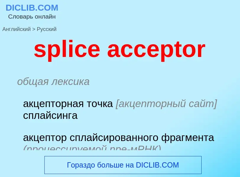 Как переводится splice acceptor на Русский язык