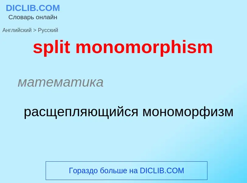 Как переводится split monomorphism на Русский язык