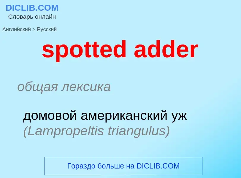 Как переводится spotted adder на Русский язык