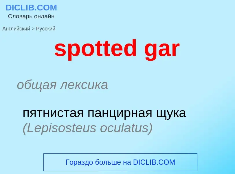 What is the Russian for spotted gar? Translation of &#39spotted gar&#39 to Russian