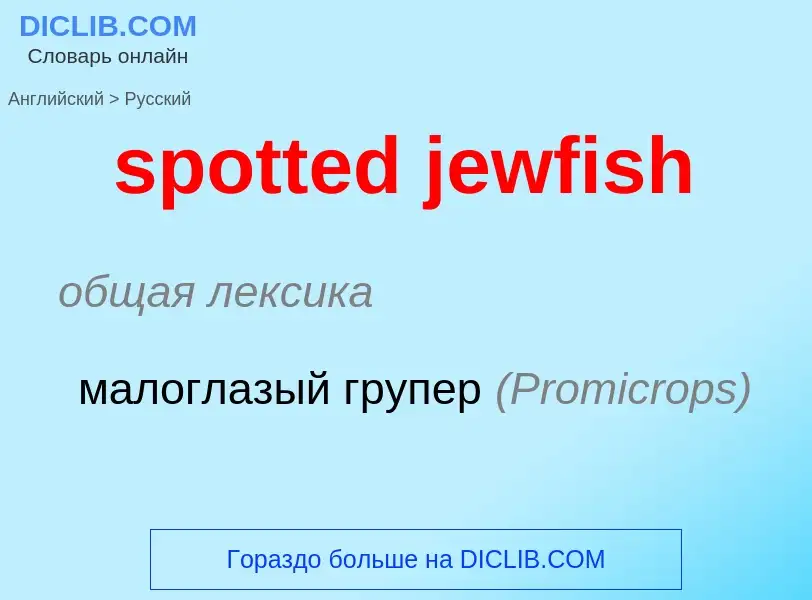 ¿Cómo se dice spotted jewfish en Ruso? Traducción de &#39spotted jewfish&#39 al Ruso