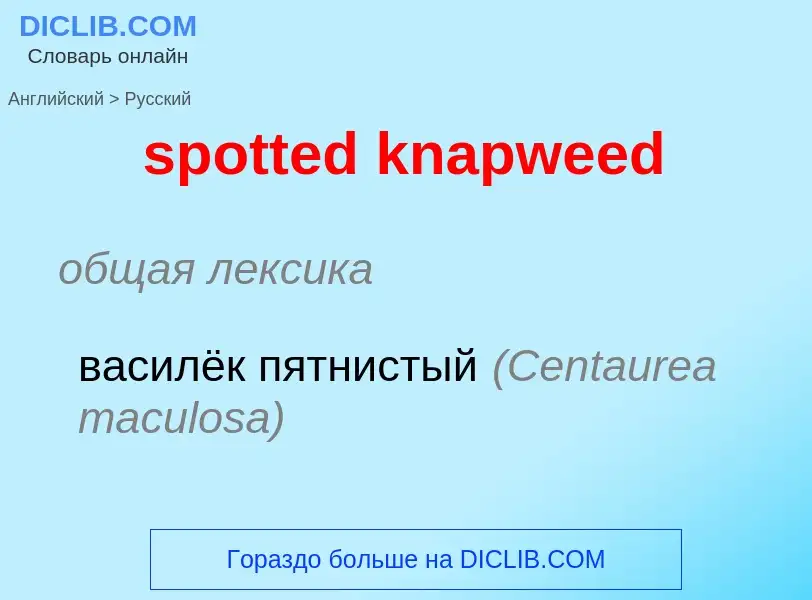 Как переводится spotted knapweed на Русский язык