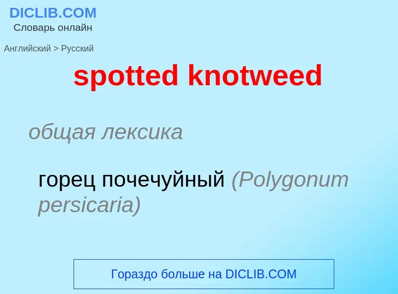 Μετάφραση του &#39spotted knotweed&#39 σε Ρωσικά