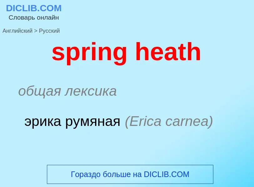 ¿Cómo se dice spring heath en Ruso? Traducción de &#39spring heath&#39 al Ruso