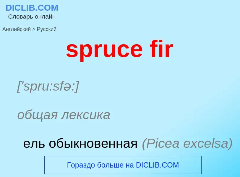 Μετάφραση του &#39spruce fir&#39 σε Ρωσικά