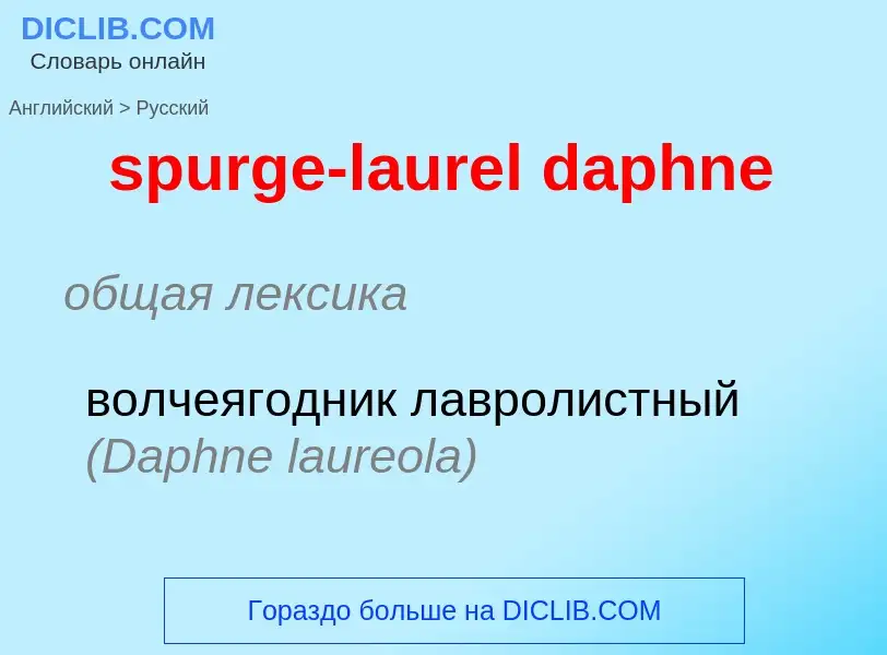 Vertaling van &#39spurge-laurel daphne&#39 naar Russisch