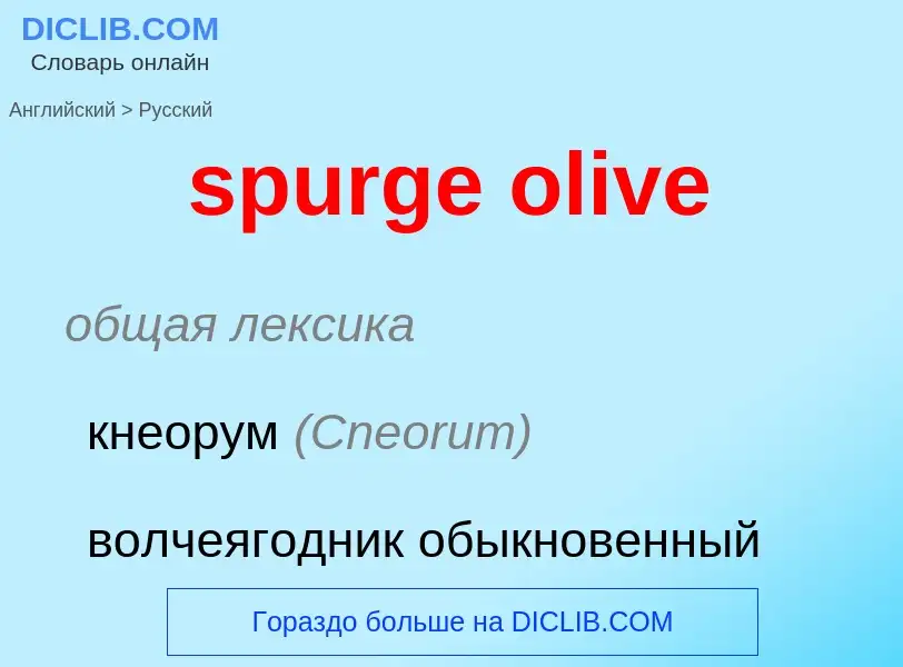 Как переводится spurge olive на Русский язык