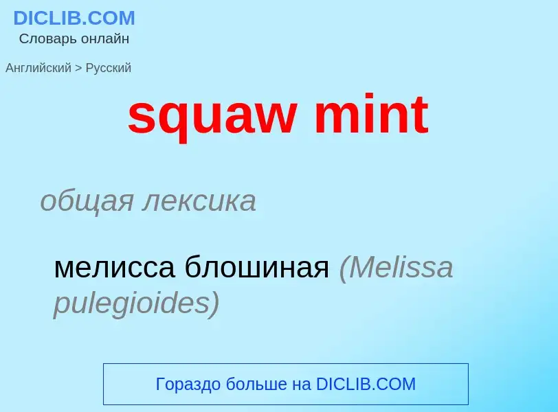 Как переводится squaw mint на Русский язык