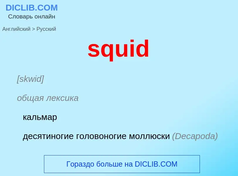 Как переводится squid на Русский язык