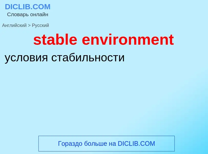 Как переводится stable environment на Русский язык