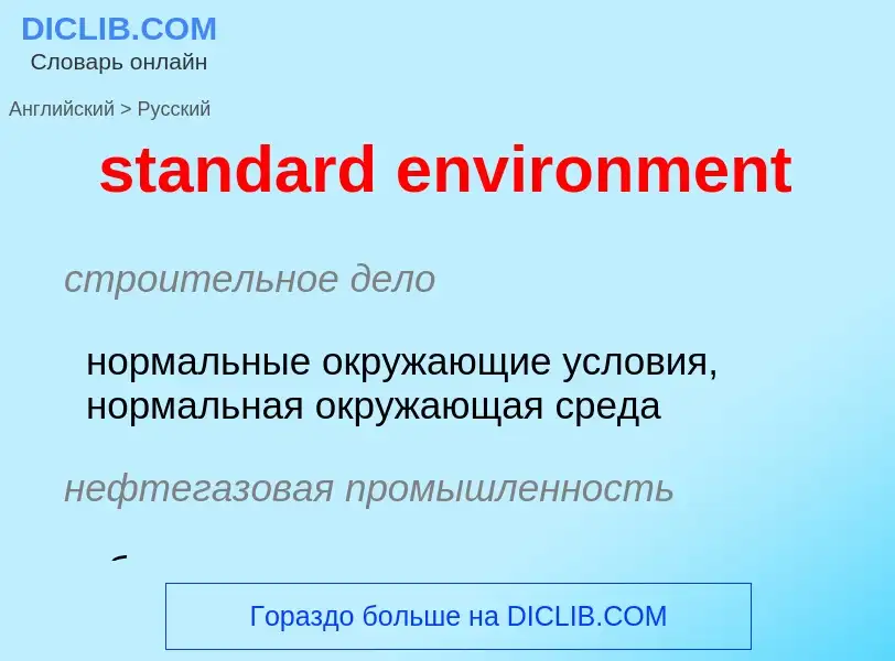 Как переводится standard environment на Русский язык