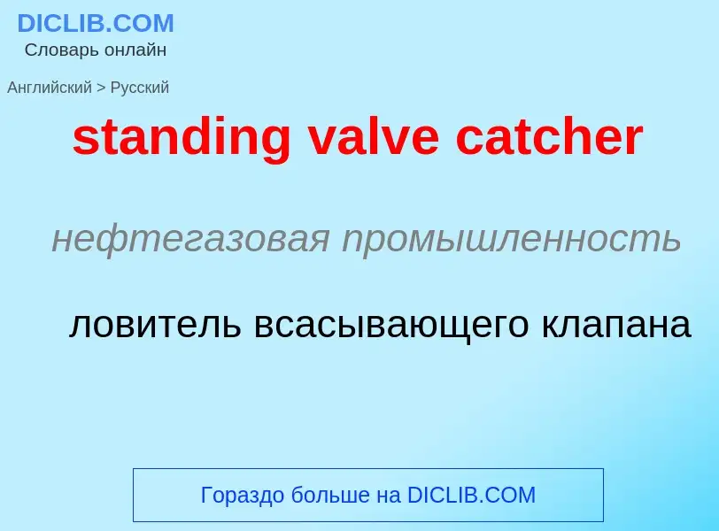 Как переводится standing valve catcher на Русский язык