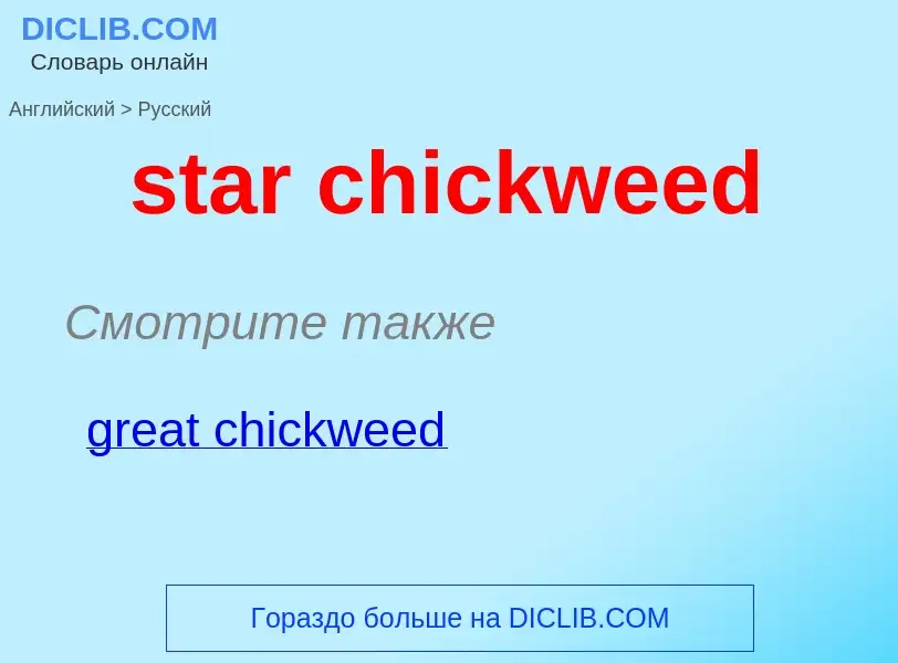 Vertaling van &#39star chickweed&#39 naar Russisch