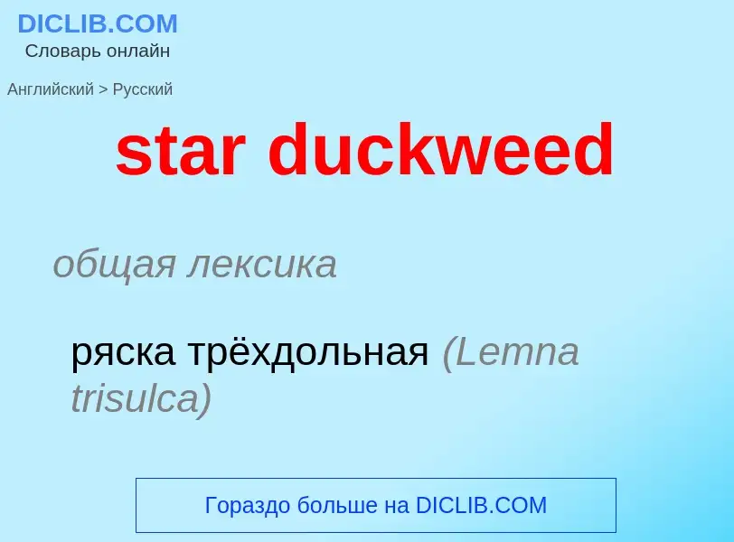 What is the Russian for star duckweed? Translation of &#39star duckweed&#39 to Russian