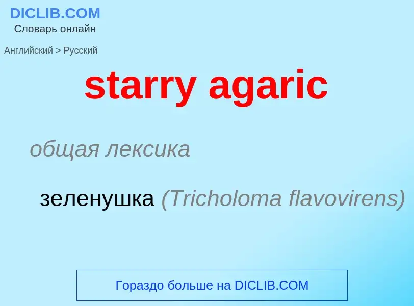 Traduction de &#39starry agaric&#39 en Russe