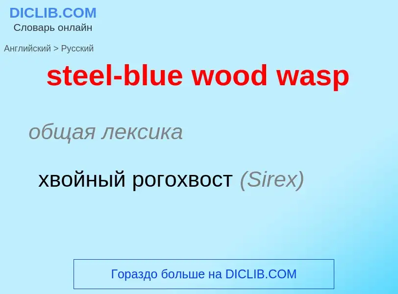 What is the Russian for steel-blue wood wasp? Translation of &#39steel-blue wood wasp&#39 to Russian