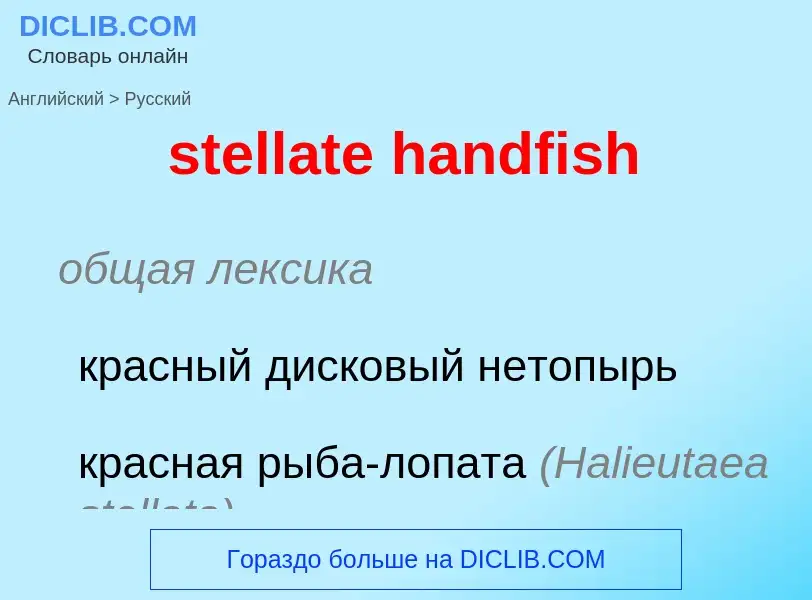 Μετάφραση του &#39stellate handfish&#39 σε Ρωσικά