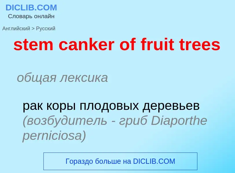 ¿Cómo se dice stem canker of fruit trees en Ruso? Traducción de &#39stem canker of fruit trees&#39 a