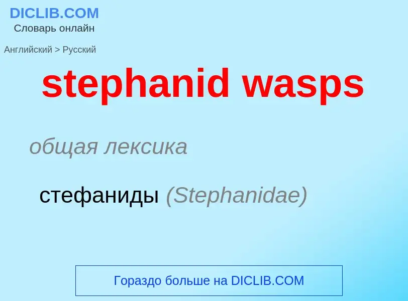 Как переводится stephanid wasps на Русский язык