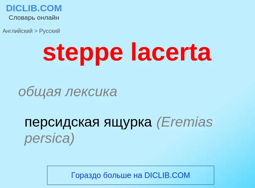 Как переводится steppe lacerta на Русский язык